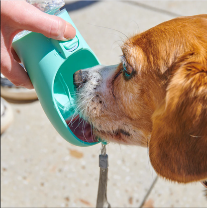 Portable Pet Travel Water Bottle