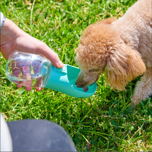 Portable Pet Travel Water Bottle